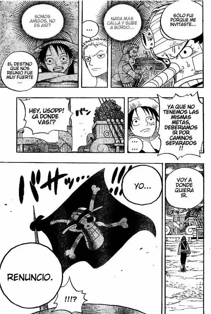 ONE PIECE Capitulo 331 página 17