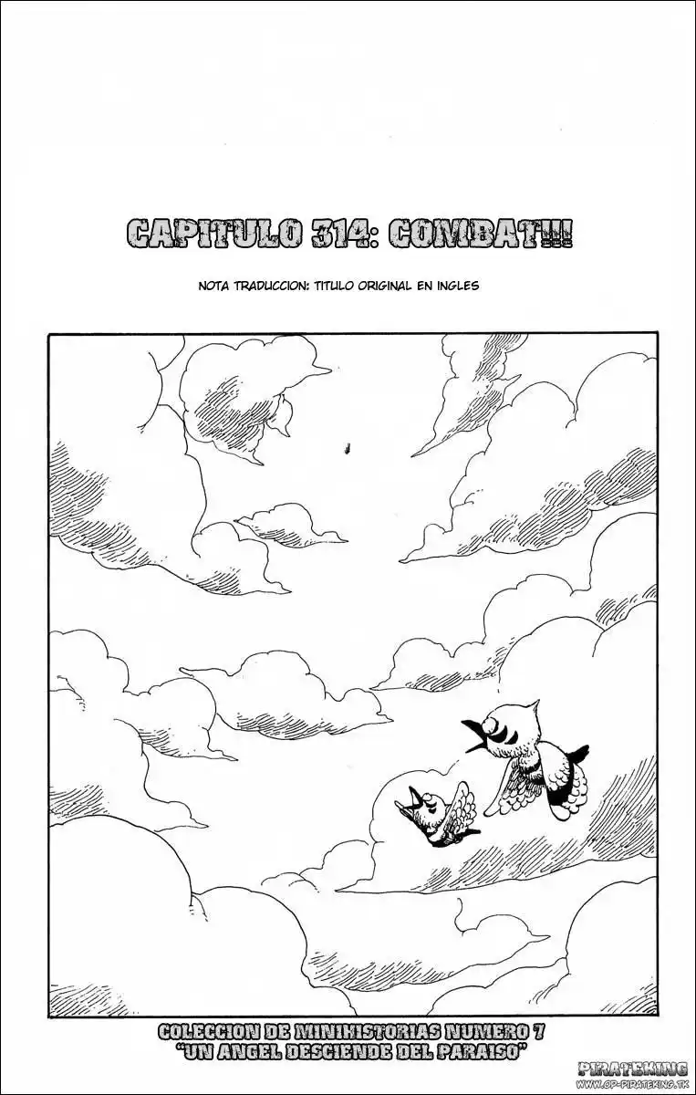 ONE PIECE Capitulo 314 página 1