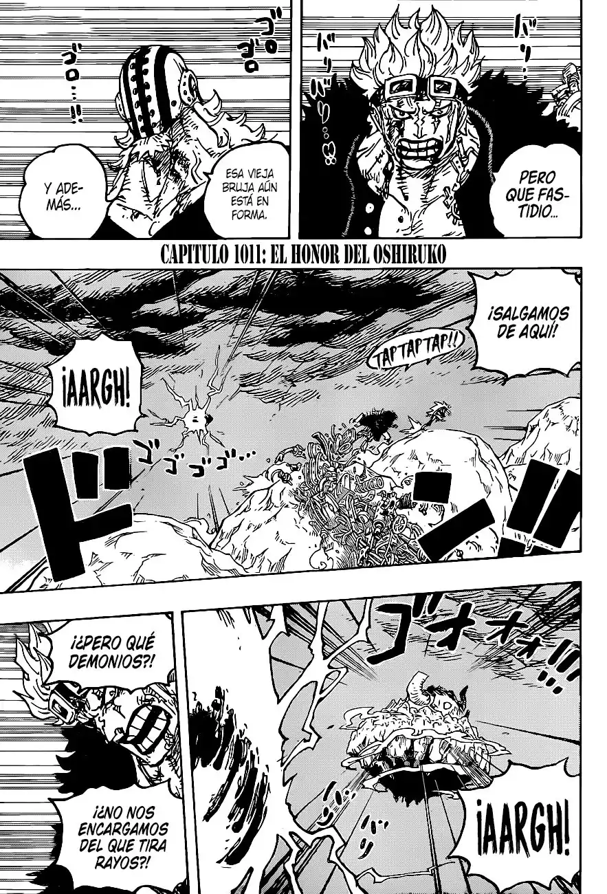 ONE PIECE Capitulo 1011 página 3