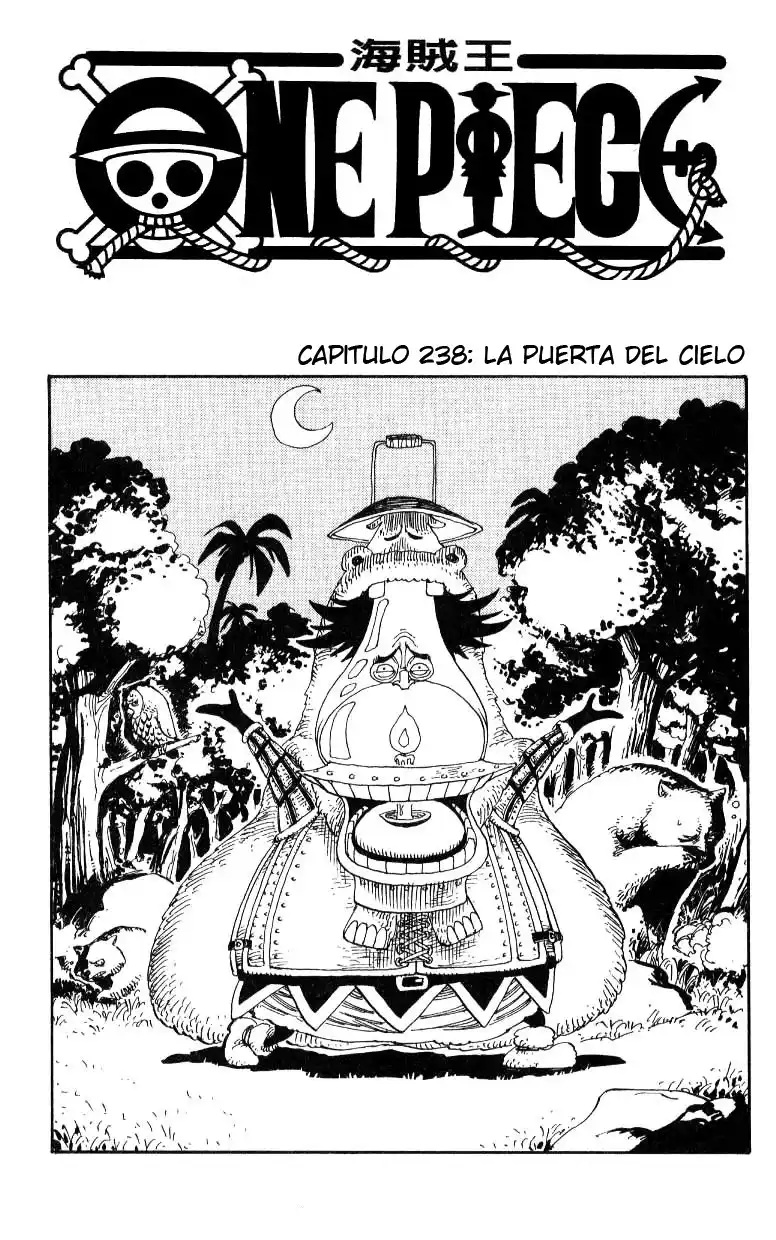 ONE PIECE Capitulo 238 página 1