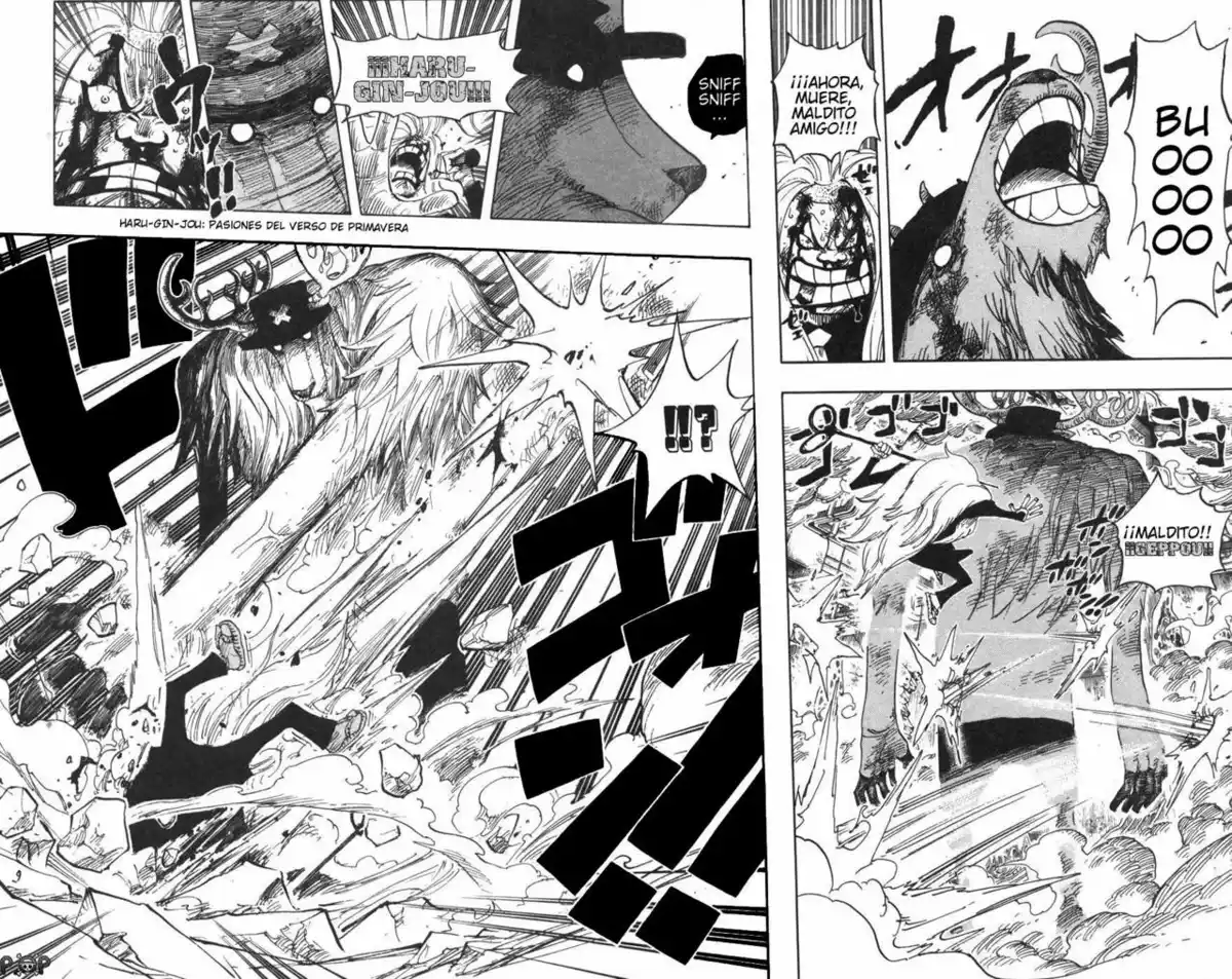 ONE PIECE Capitulo 408 página 10