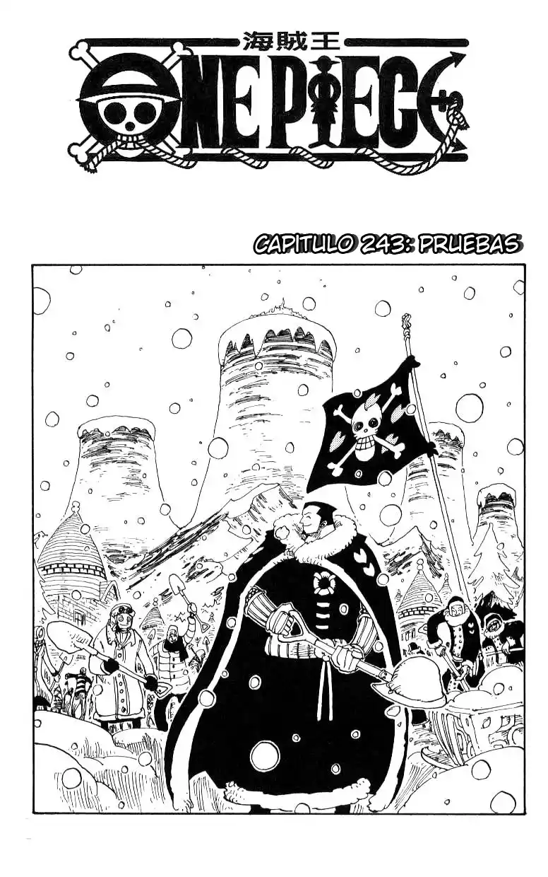 ONE PIECE Capitulo 243 página 1