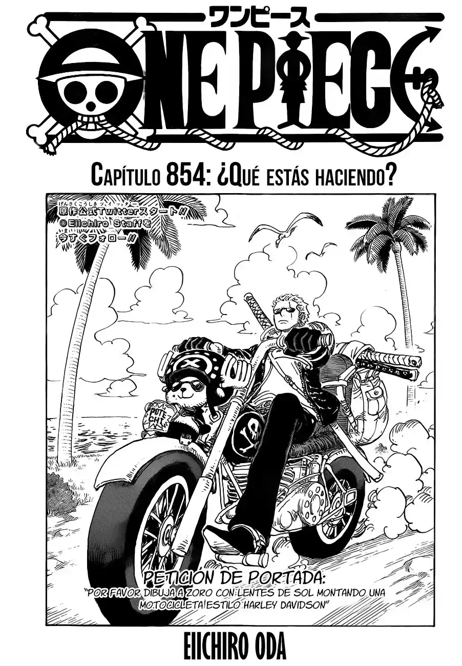 ONE PIECE Capitulo 854: ¡¿Qué rayos estoy haciendo?! página 2