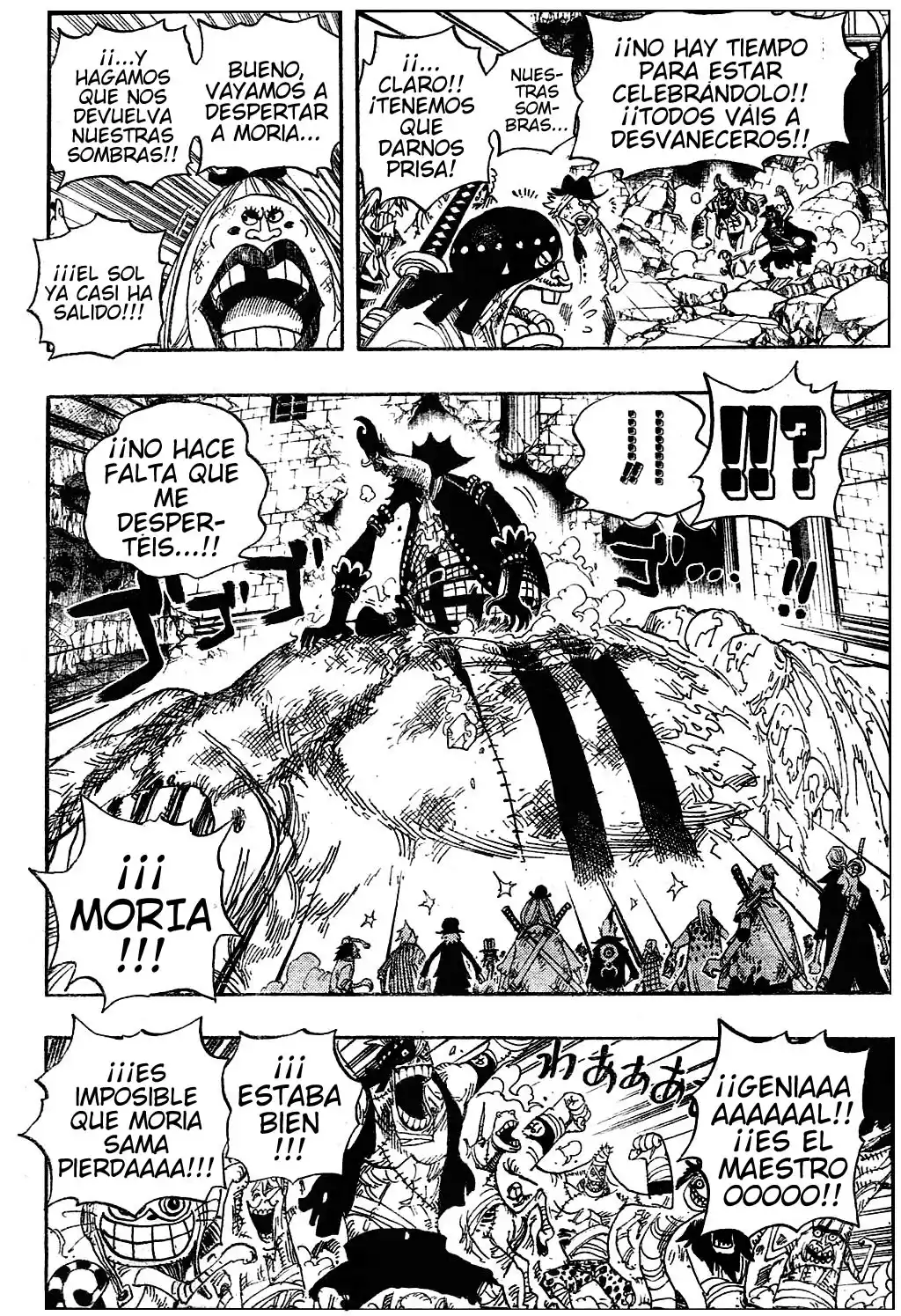 ONE PIECE Capitulo 481 página 6