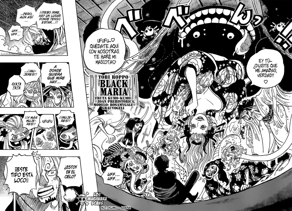 ONE PIECE Capitulo 998 página 11