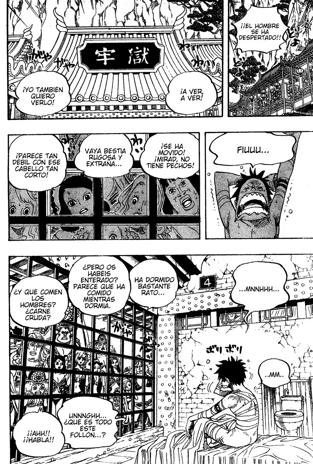 ONE PIECE Capitulo 515 página 5