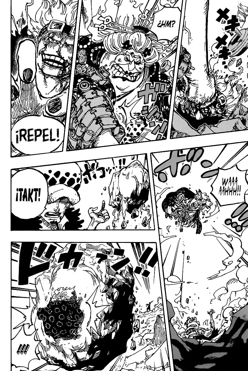 ONE PIECE Capitulo 1009 página 14