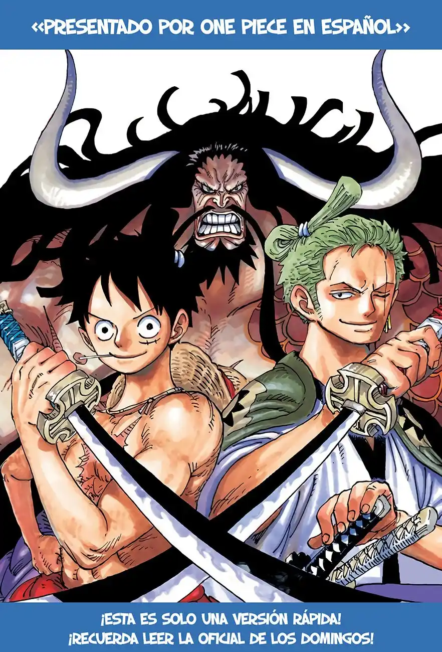 ONE PIECE Capitulo 1009 página 16