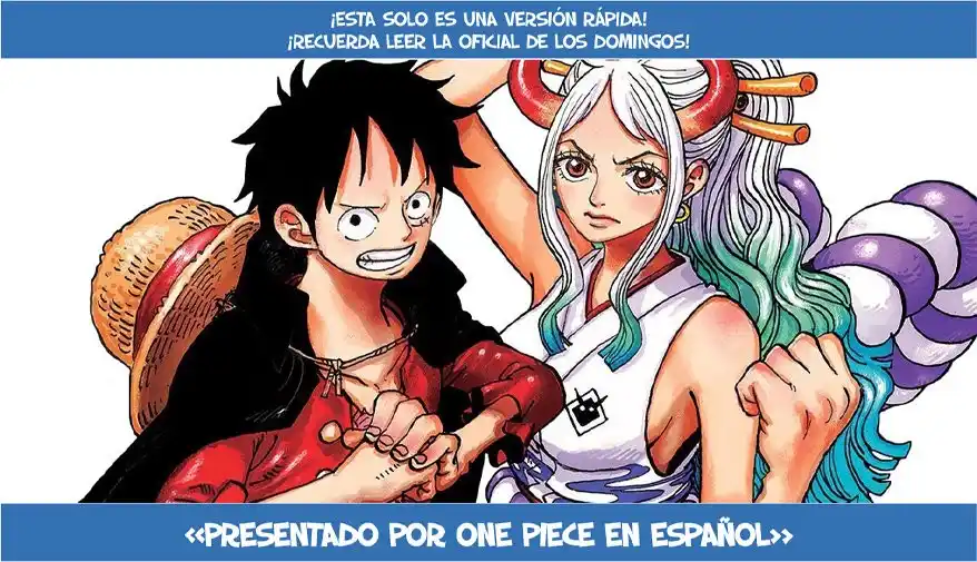 ONE PIECE Capitulo 1004 página 17