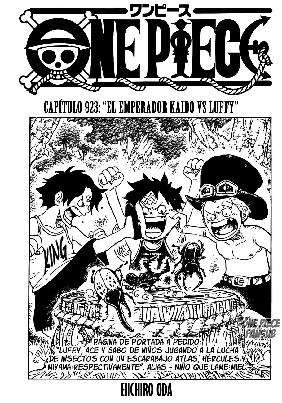 ONE PIECE Capitulo 923: Emperador Kaido vs Luffy página 2