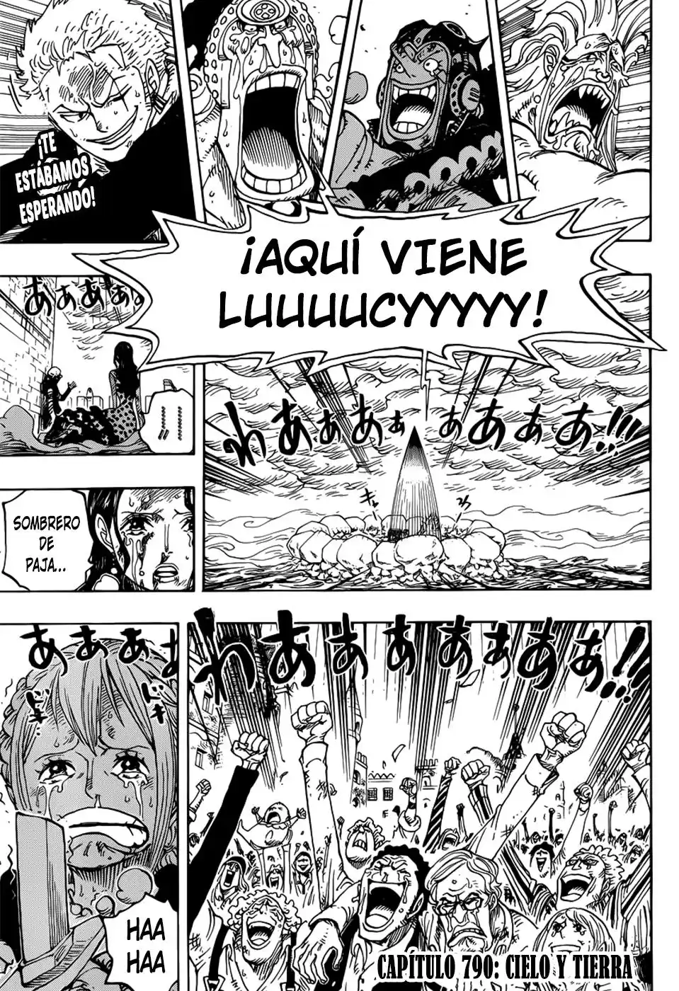 ONE PIECE Capitulo 790 página 4