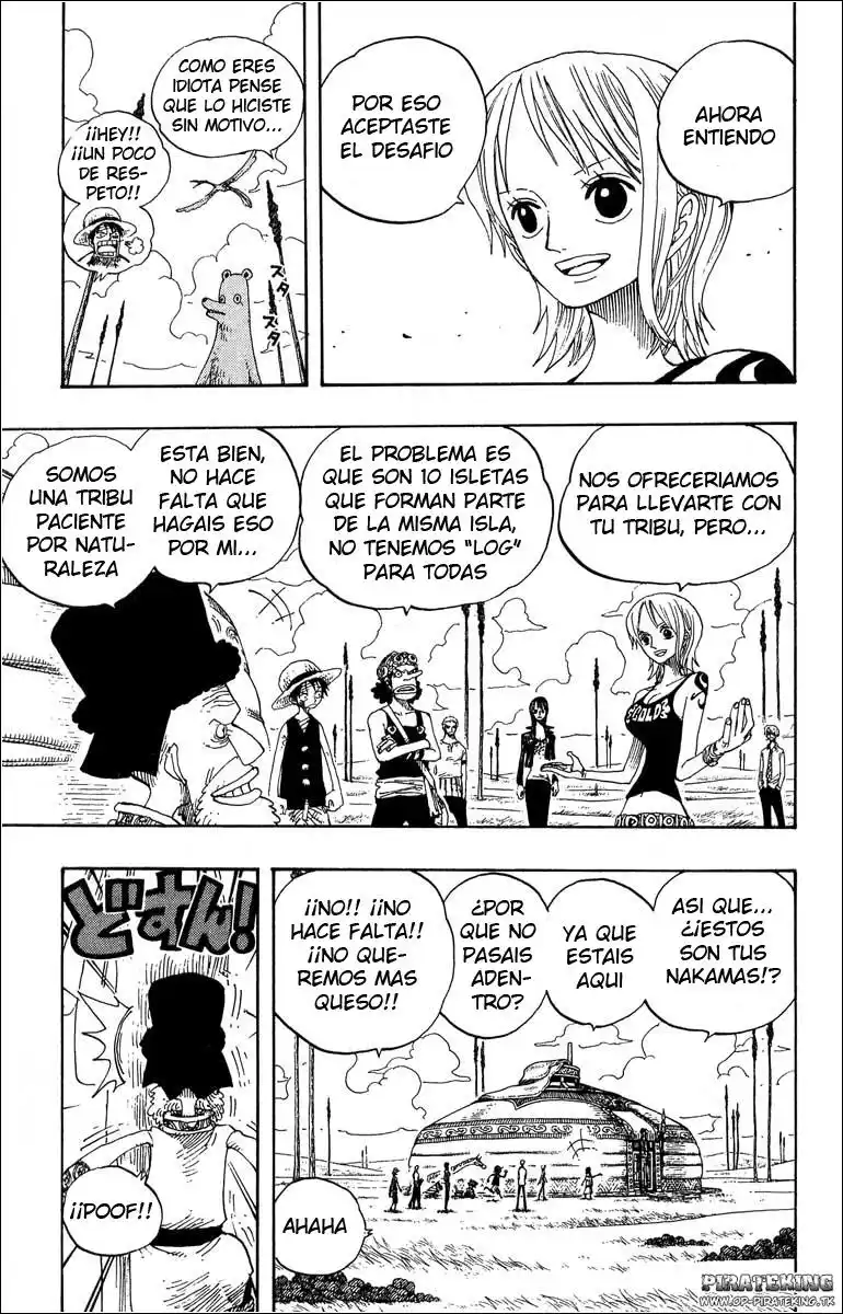 ONE PIECE Capitulo 318 página 17