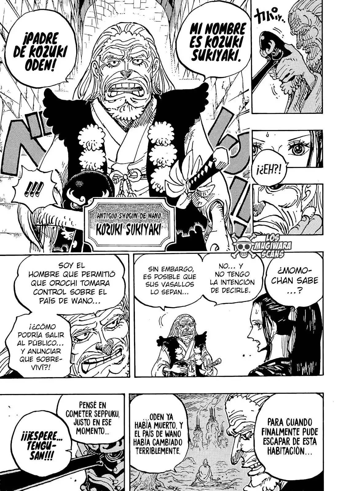 ONE PIECE Capitulo 1053 página 9