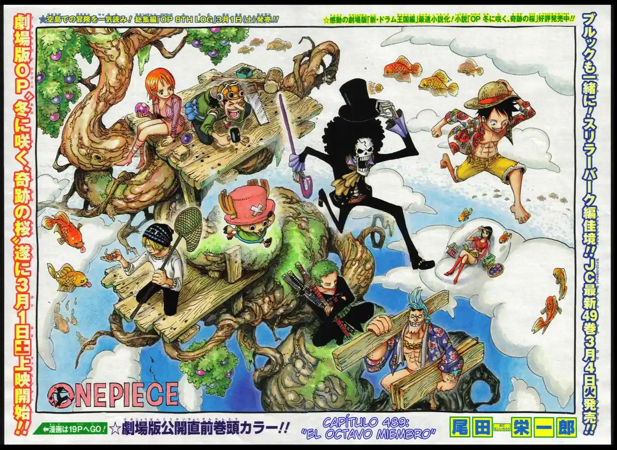 ONE PIECE Capitulo 489 página 1