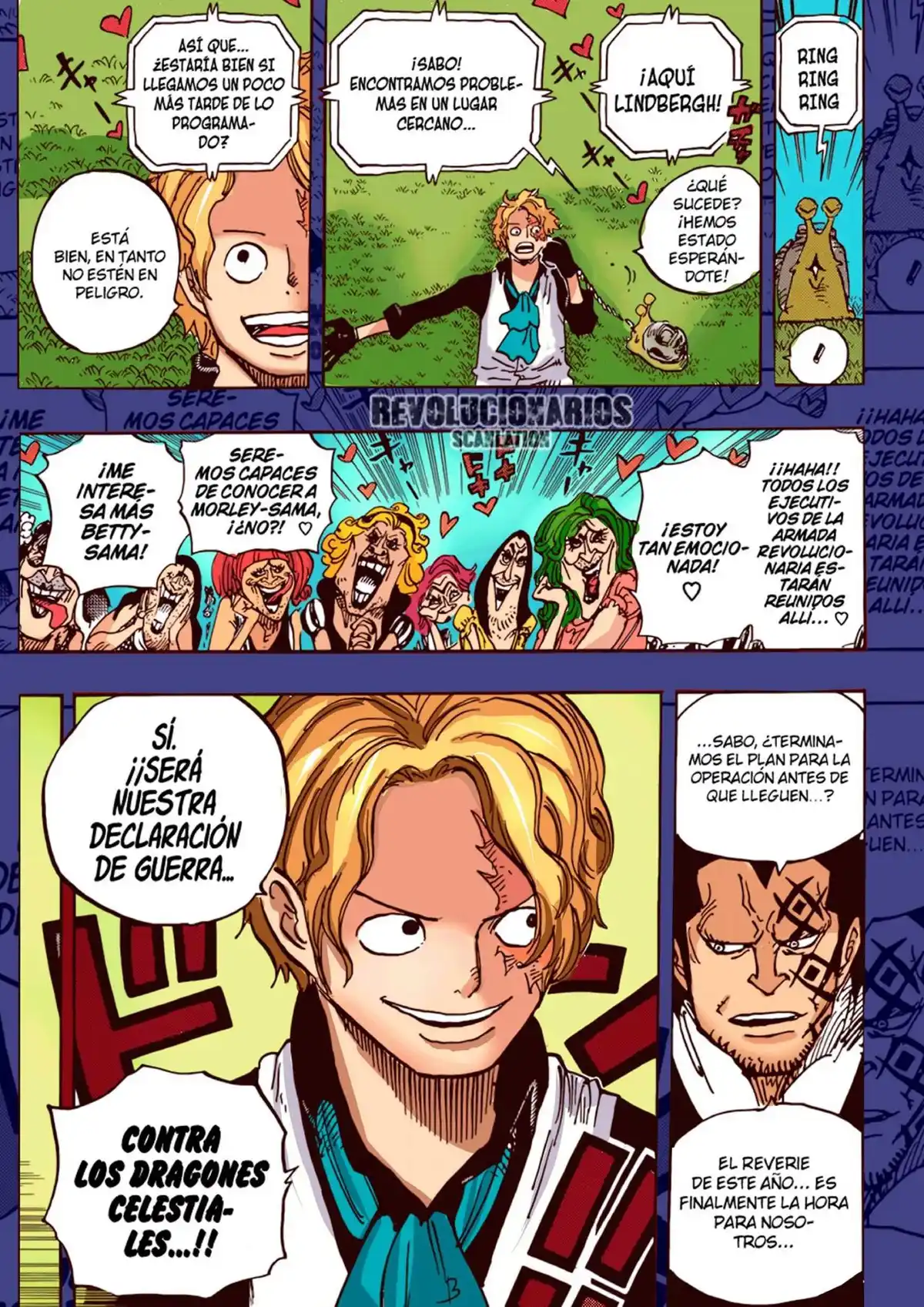 ONE PIECE Capitulo 905: UN MUNDO HERMOSO página 17