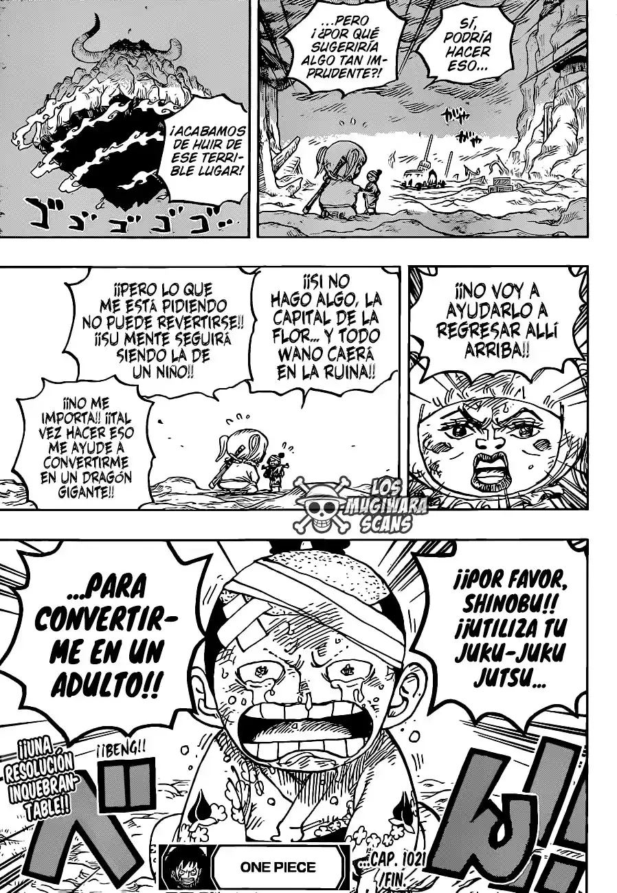 ONE PIECE Capitulo 1021.5 página 17