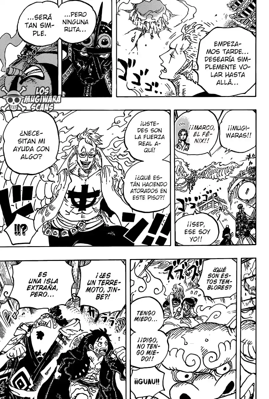 ONE PIECE Capitulo 997.5 página 14