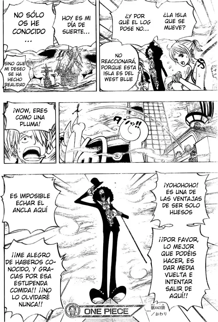 ONE PIECE Capitulo 443 página 17