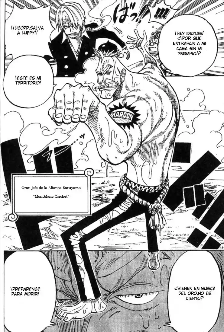 ONE PIECE Capitulo 227 página 14