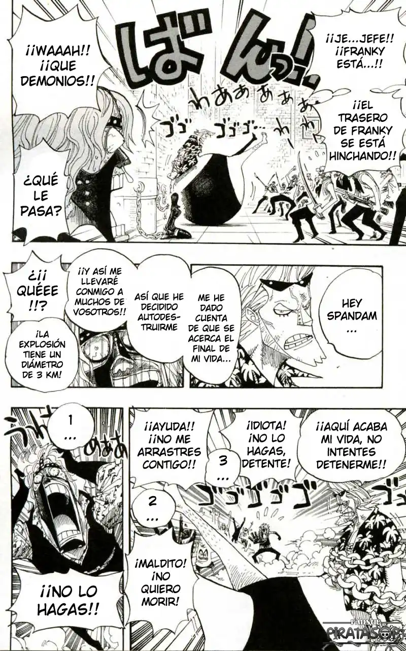 ONE PIECE Capitulo 389 página 13