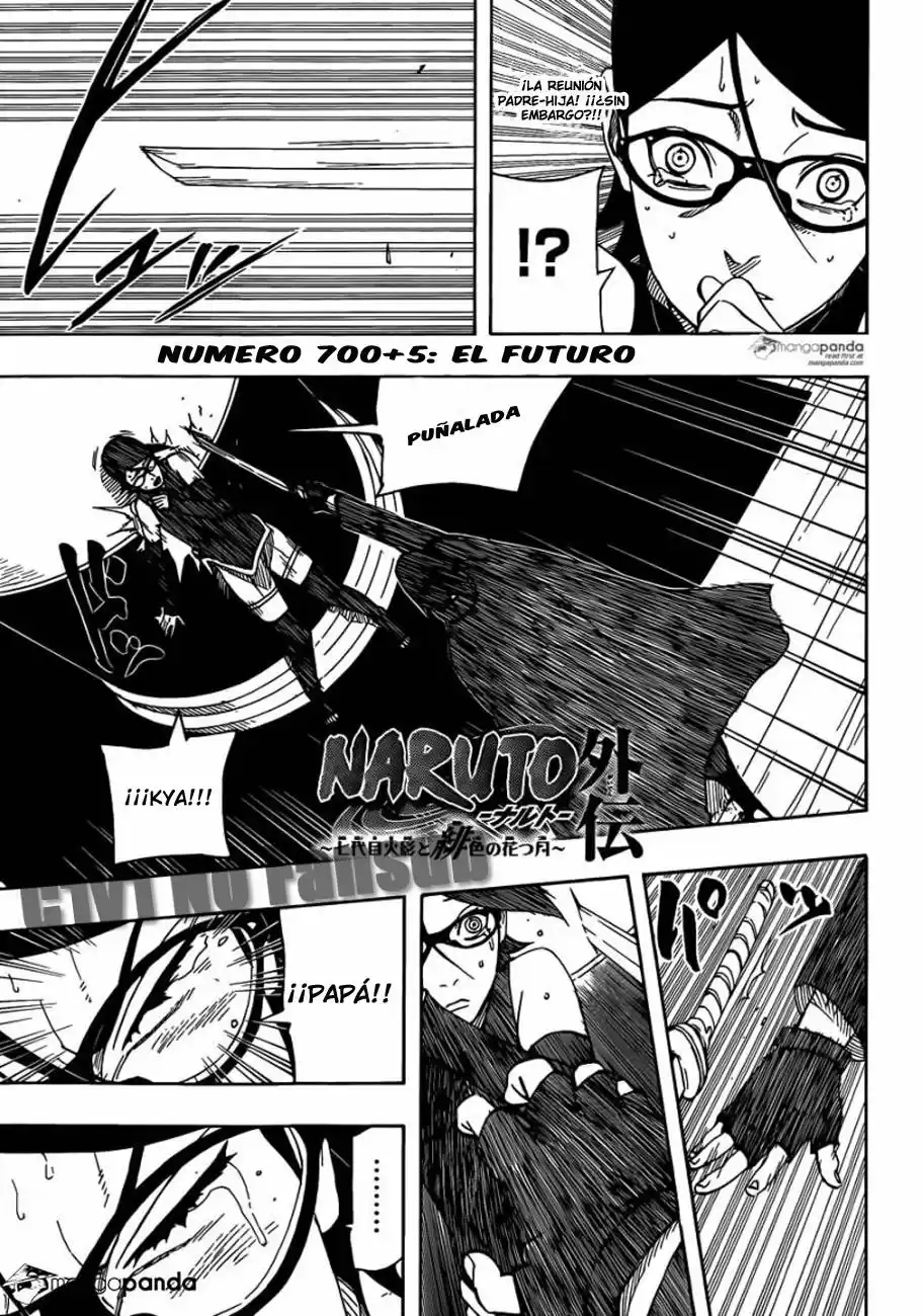 Naruto Gaiden: Nanadaime Hokage to Akairo no Hanatsuzuki Capitulo 5: El futuro página 2