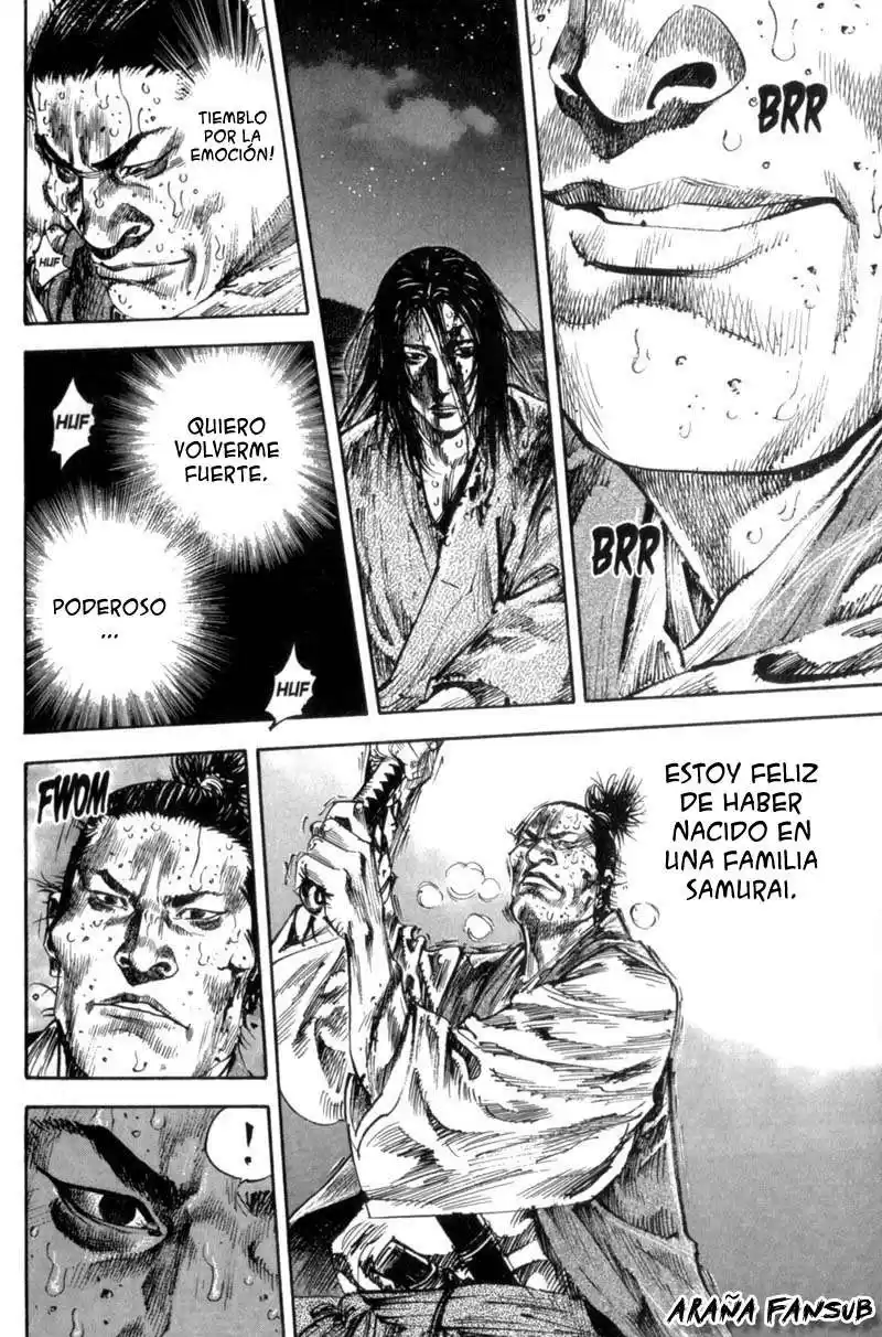 Vagabond Capitulo 154: Costa de sangre página 15