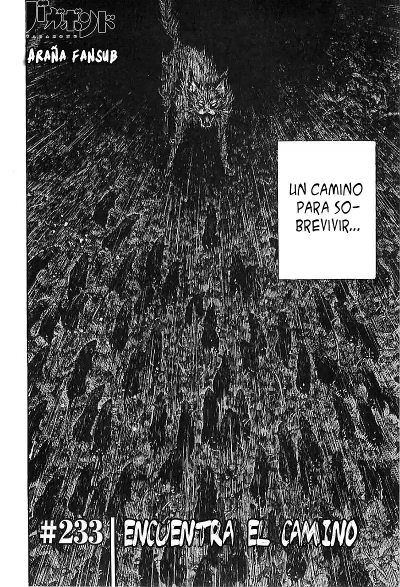 Vagabond Capitulo 233: Encuentra el camino página 4