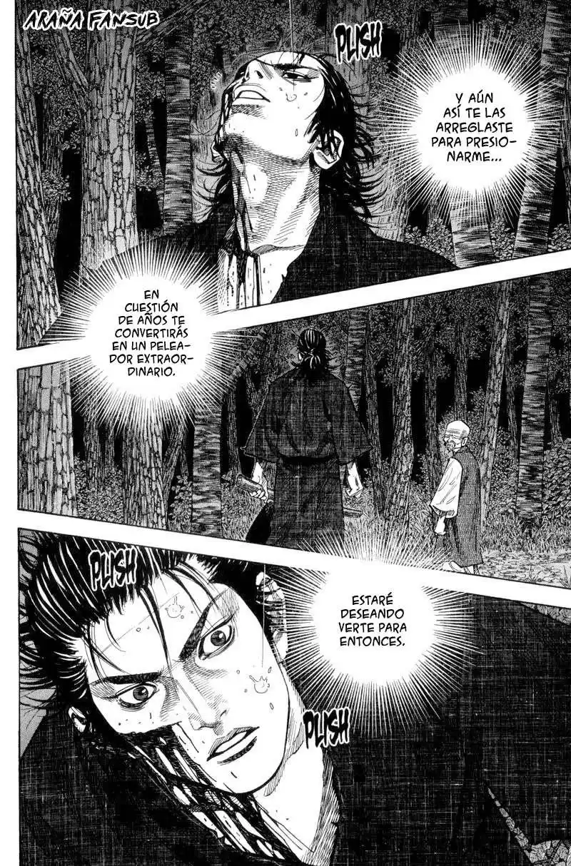 Vagabond Capitulo 74: Tormenta repentina página 5