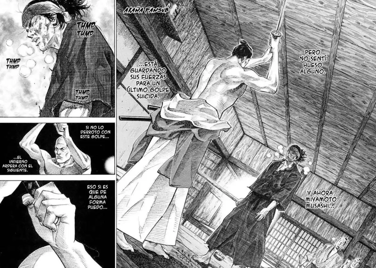 Vagabond Capitulo 30: Un simple golpe página 15