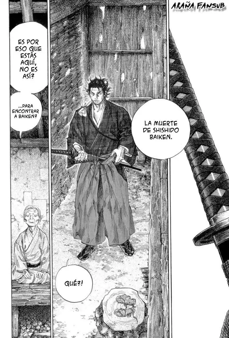 Vagabond Capitulo 115: Aparición página 8