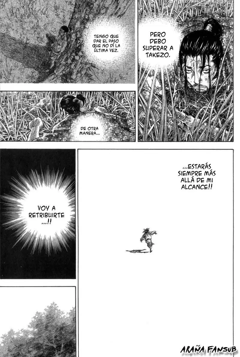 Vagabond Capitulo 121: Dos espadas página 12