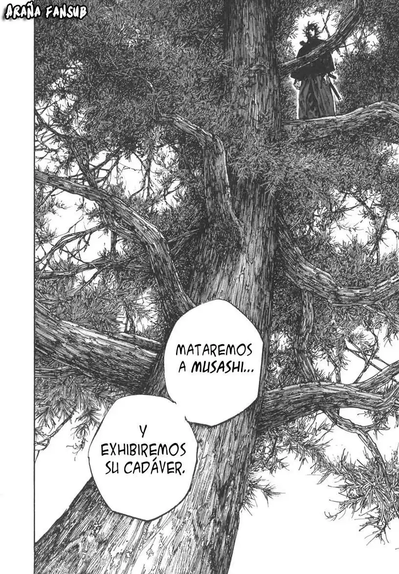 Vagabond Capitulo 221: Un viejo amigo página 16