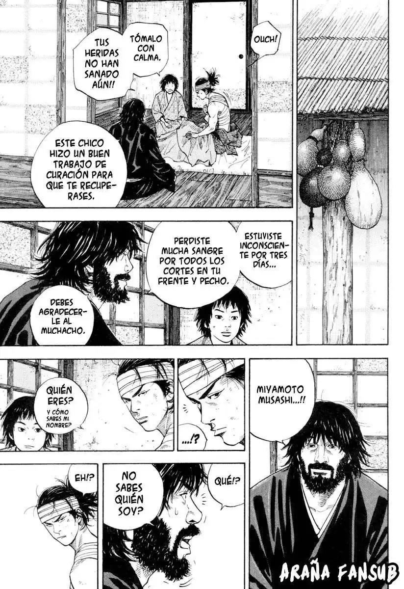 Vagabond Capitulo 32: Vagabundos página 7