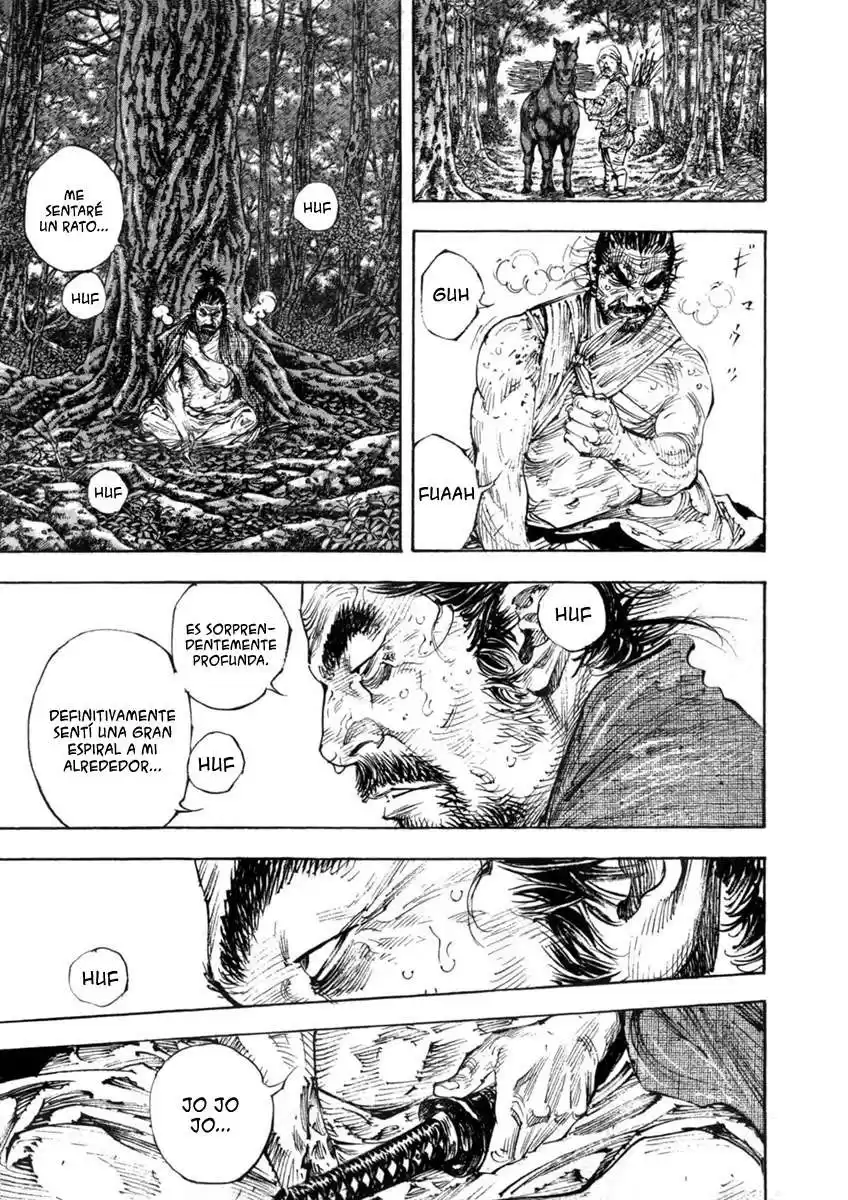 Vagabond Capitulo 284: La espiral página 14