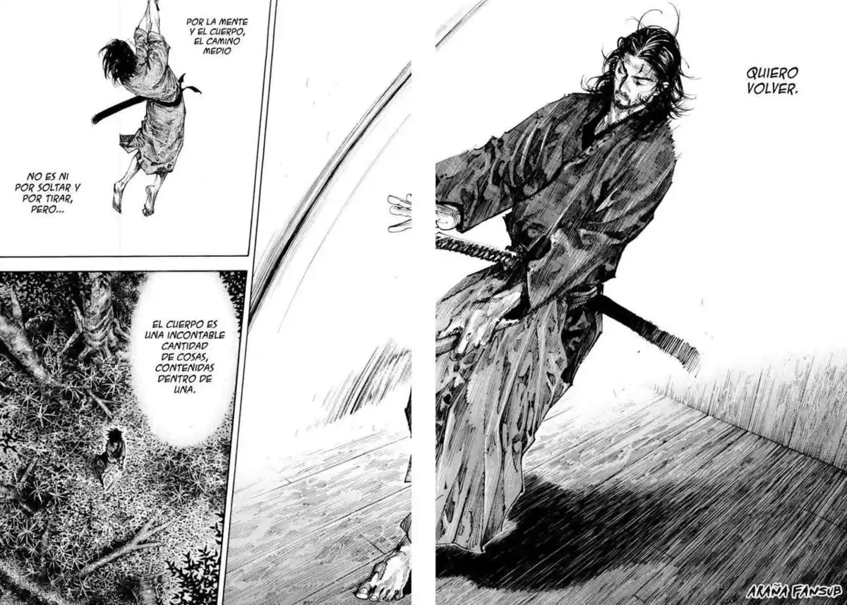 Vagabond Capitulo 269: Luz página 2