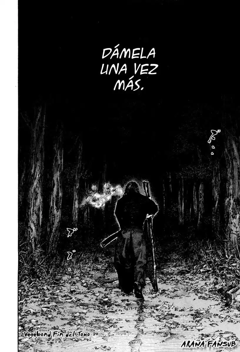 Vagabond Capitulo 269: Luz página 21