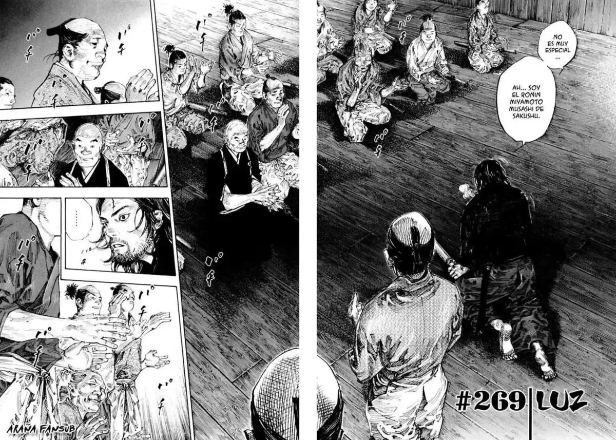 Vagabond Capitulo 269: Luz página 5