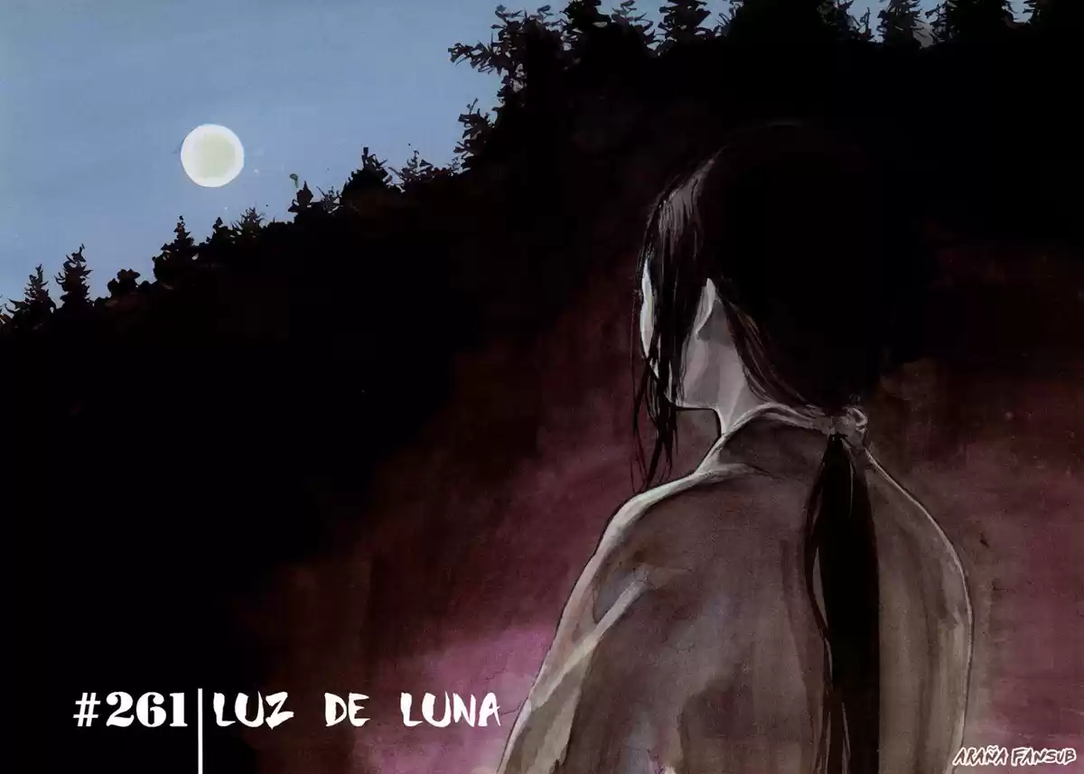 Vagabond Capitulo 261: Luz de luna página 6