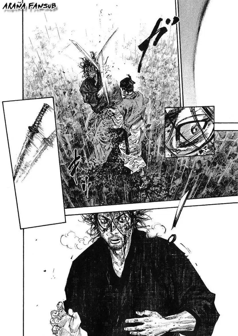 Vagabond Capitulo 237: En el camino página 13