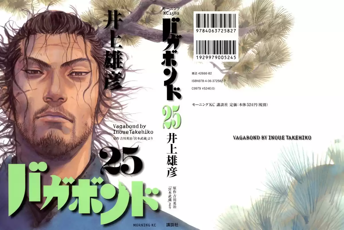 Vagabond Capitulo 216: Un año después página 2