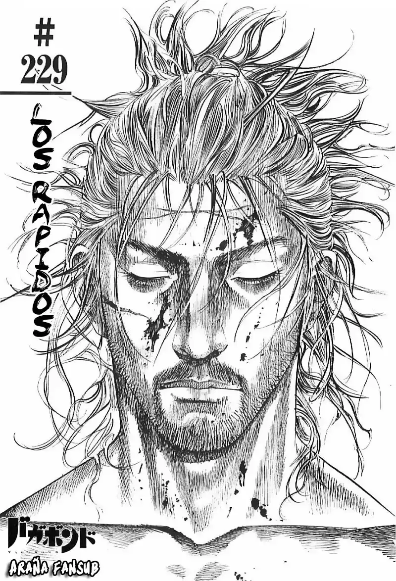 Vagabond Capitulo 229: Los rapidos página 1