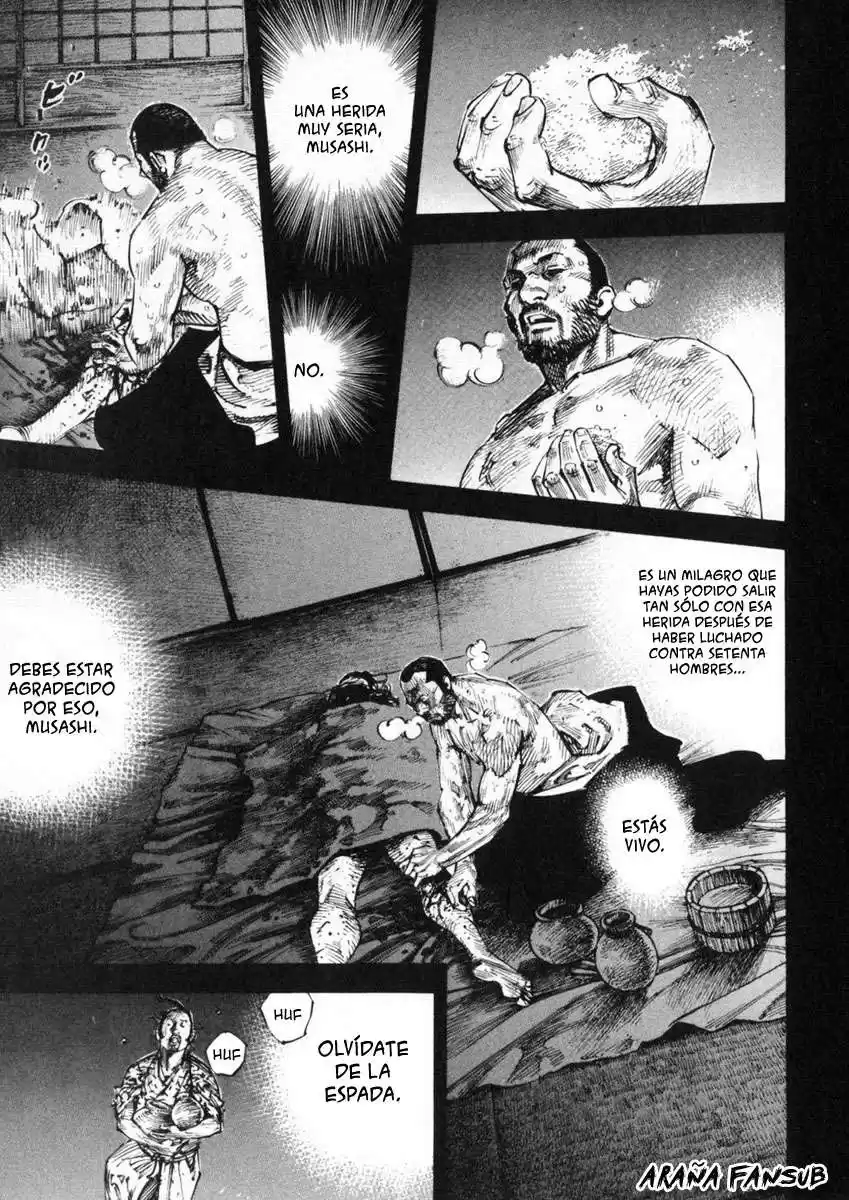 Vagabond Capitulo 247: Mientras duermes página 7