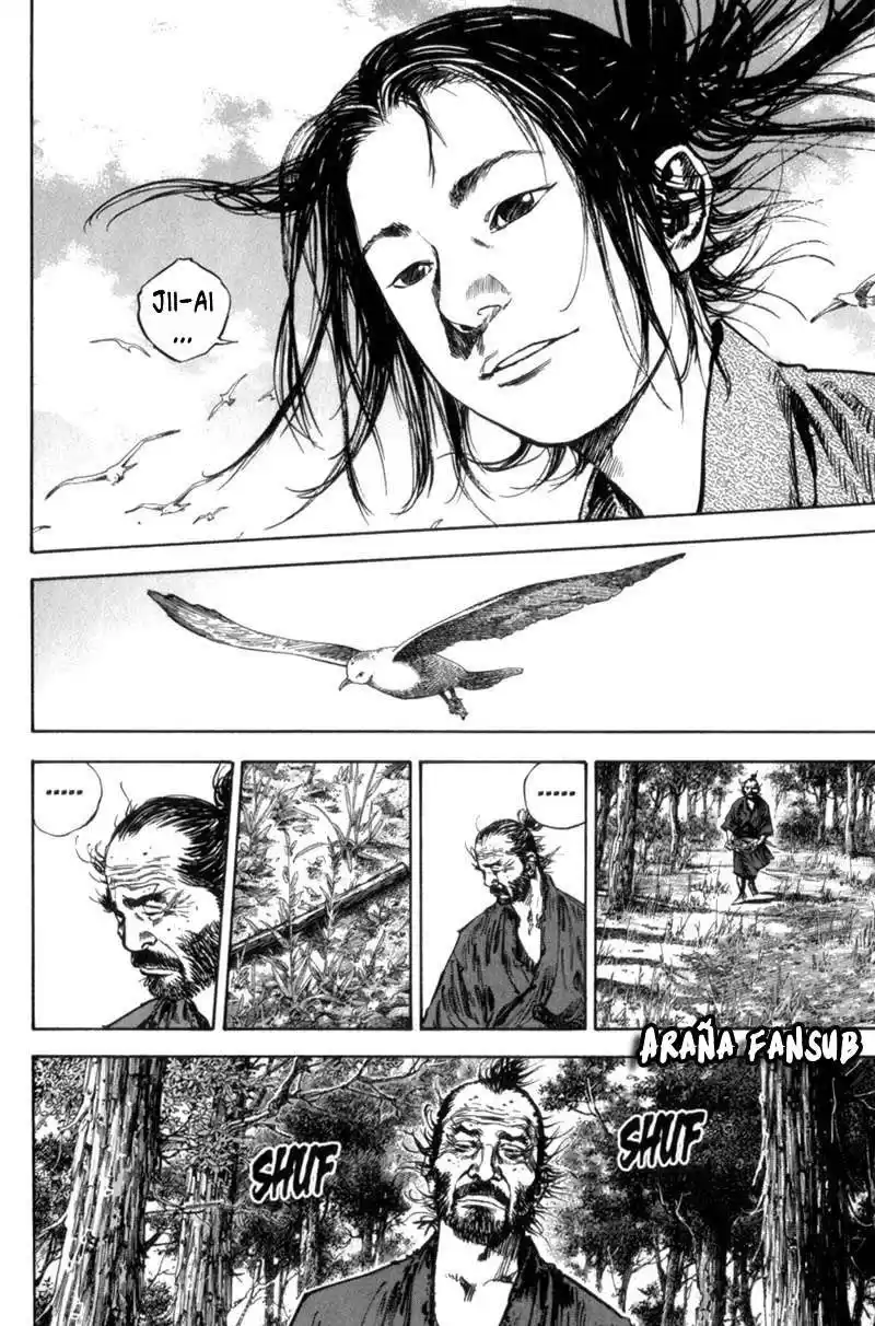 Vagabond Capitulo 144: Maestro y discípulo página 14