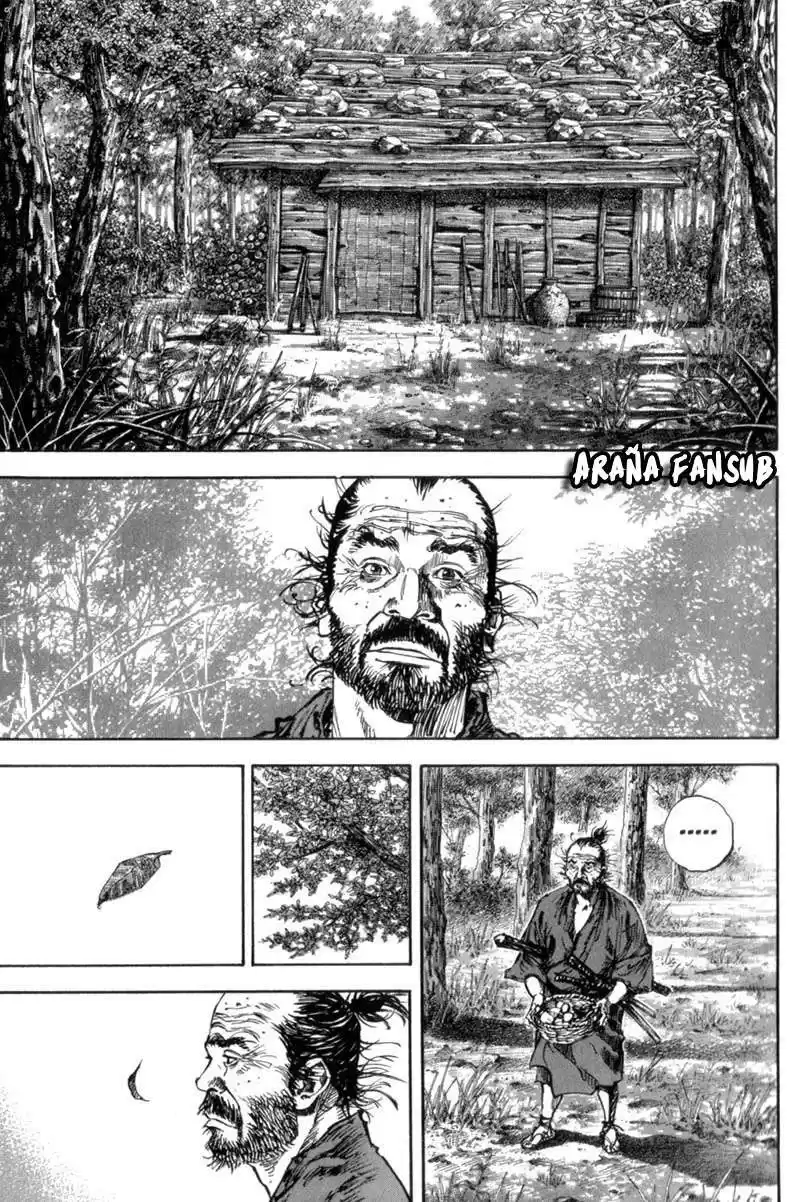 Vagabond Capitulo 144: Maestro y discípulo página 15