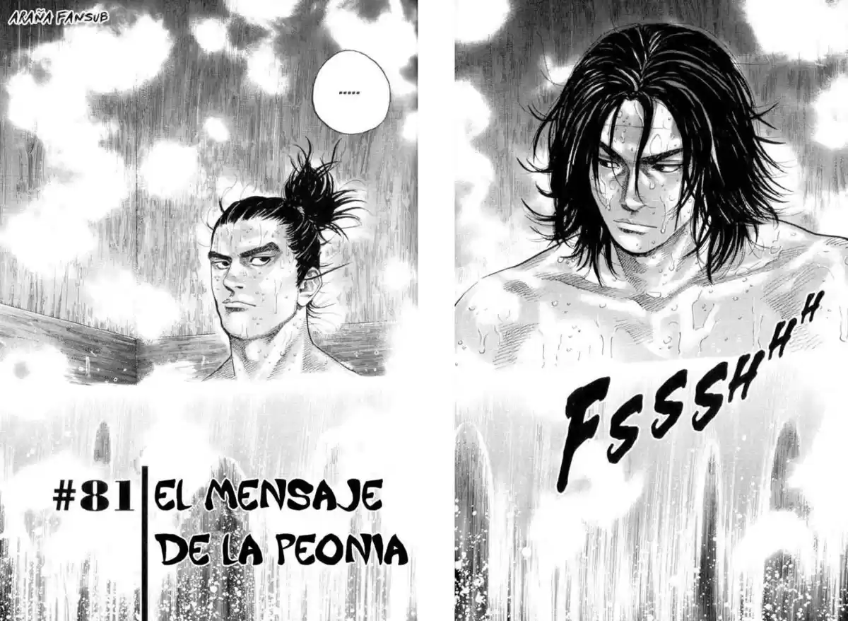 Vagabond Capitulo 81: El mensaje de la peonia página 2