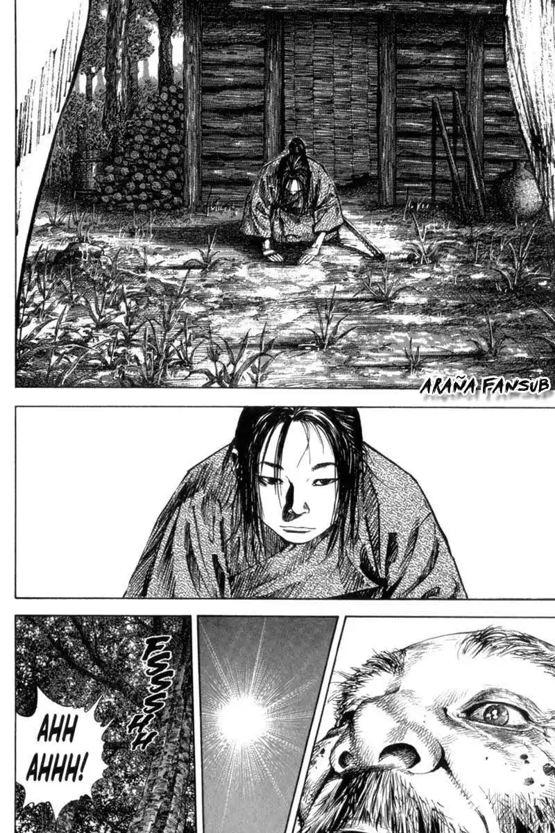 Vagabond Capitulo 156: Una vida completa página 17