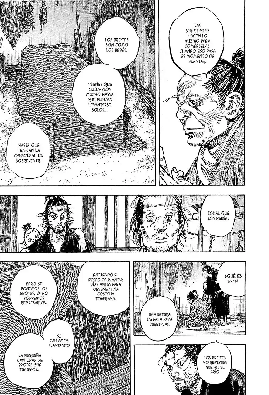 Vagabond Capitulo 318: Brotes de arroz página 7