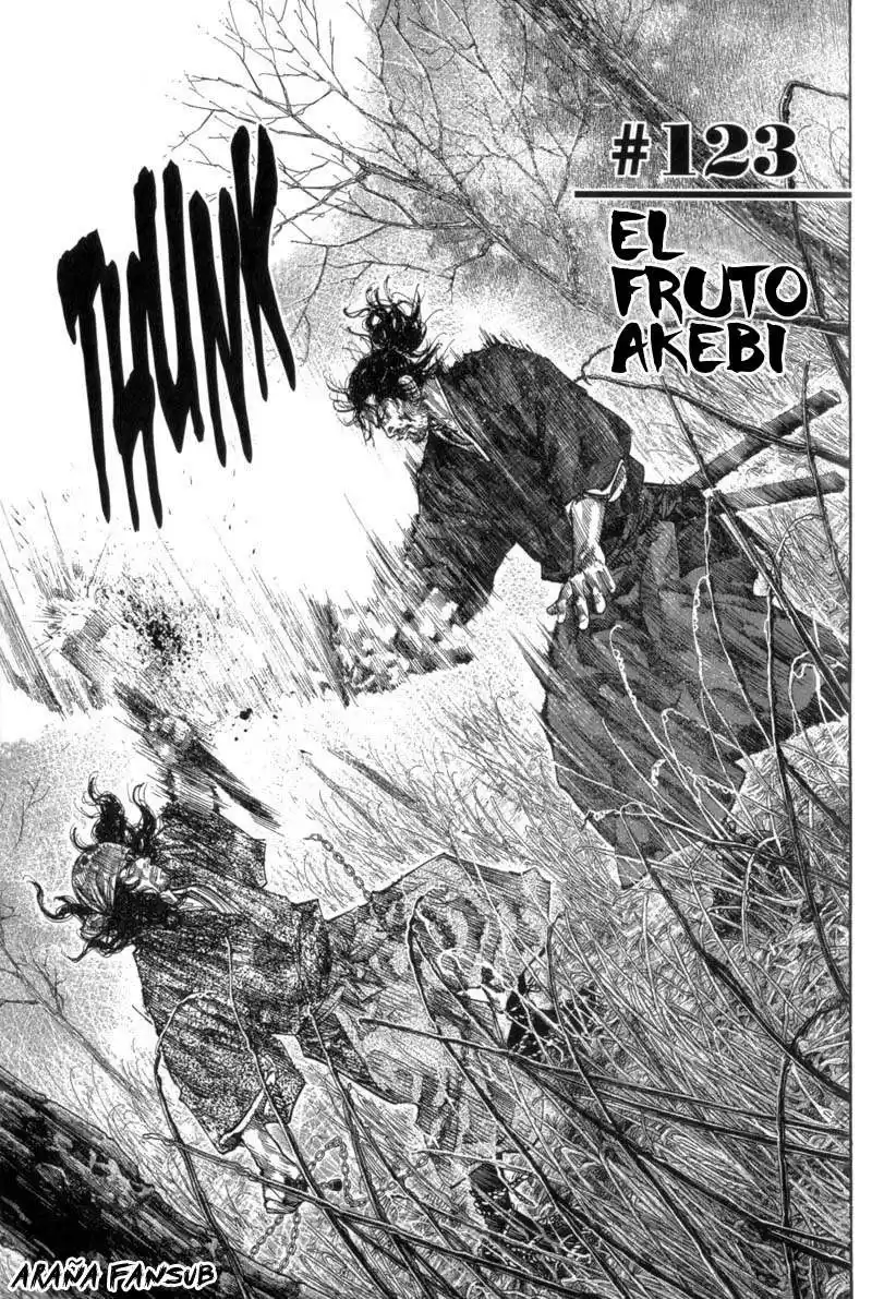 Vagabond Capitulo 123: El fruto akebi página 1