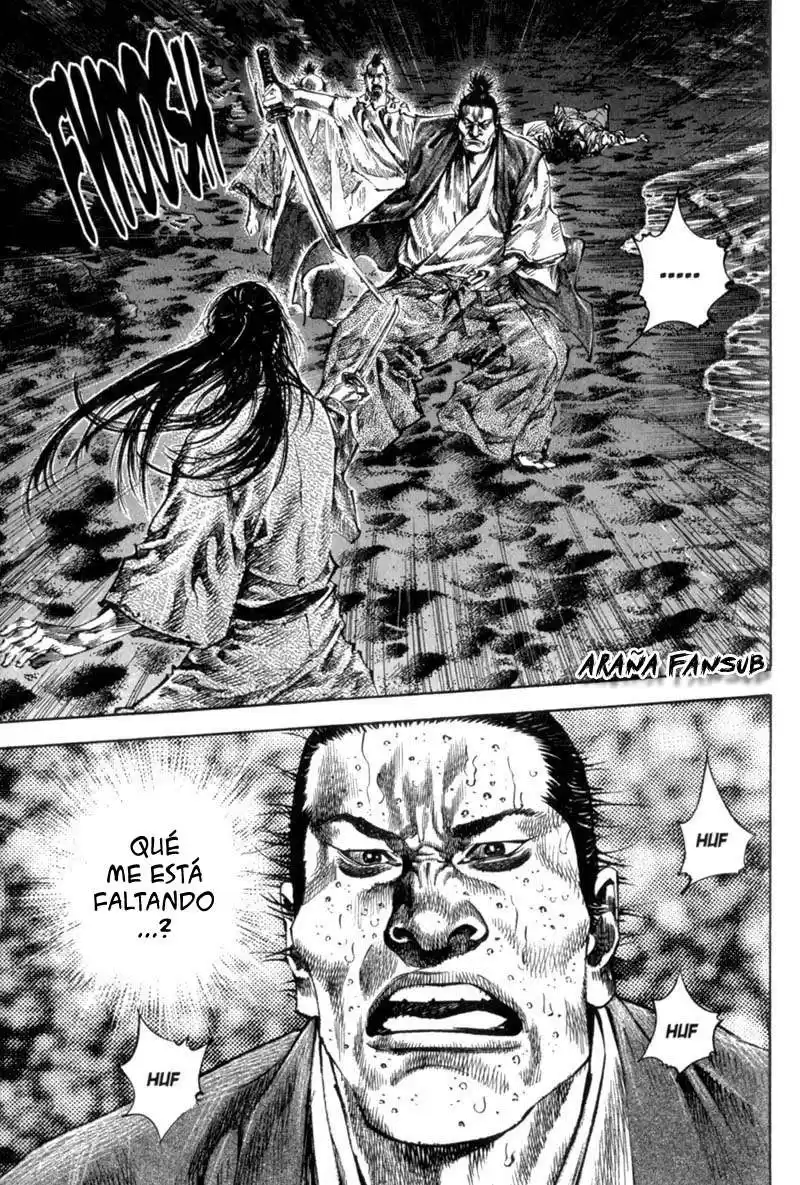 Vagabond Capitulo 152: Hermanos página 15