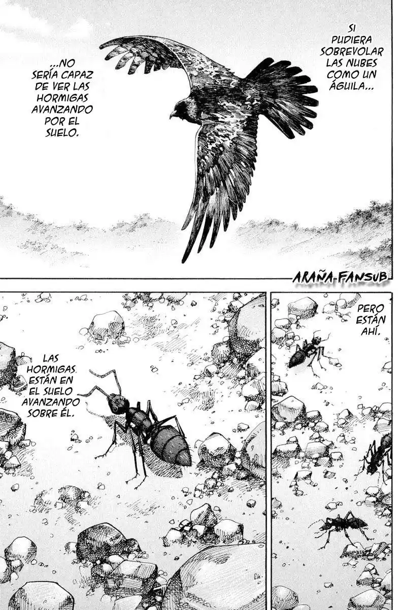 Vagabond Capitulo 184: Águila y hormiga página 17